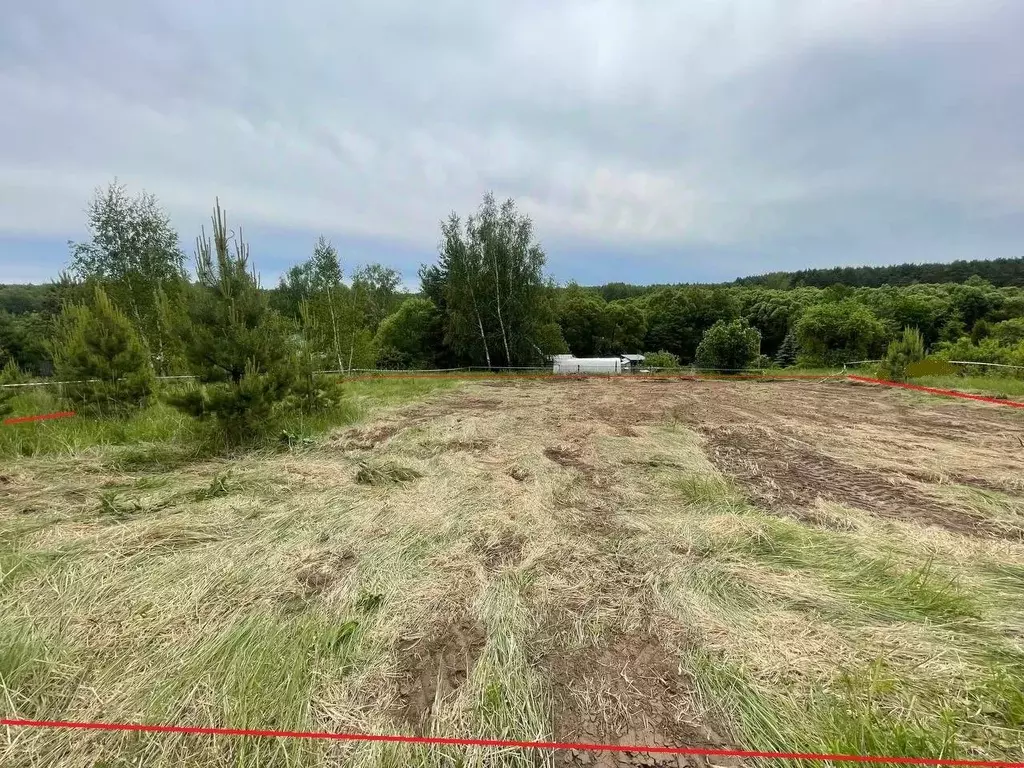 Участок в Московская область, Воскресенск городской округ, д. Шильково ... - Фото 1