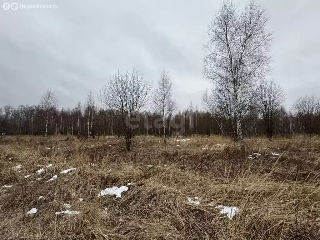 Участок в Тульская область, городской округ Тула, деревня Сергеево (8 ... - Фото 0