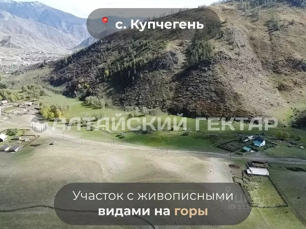 Участок в Алтай, Онгудайский район, с. Купчегень  (22.01 сот.) - Фото 1