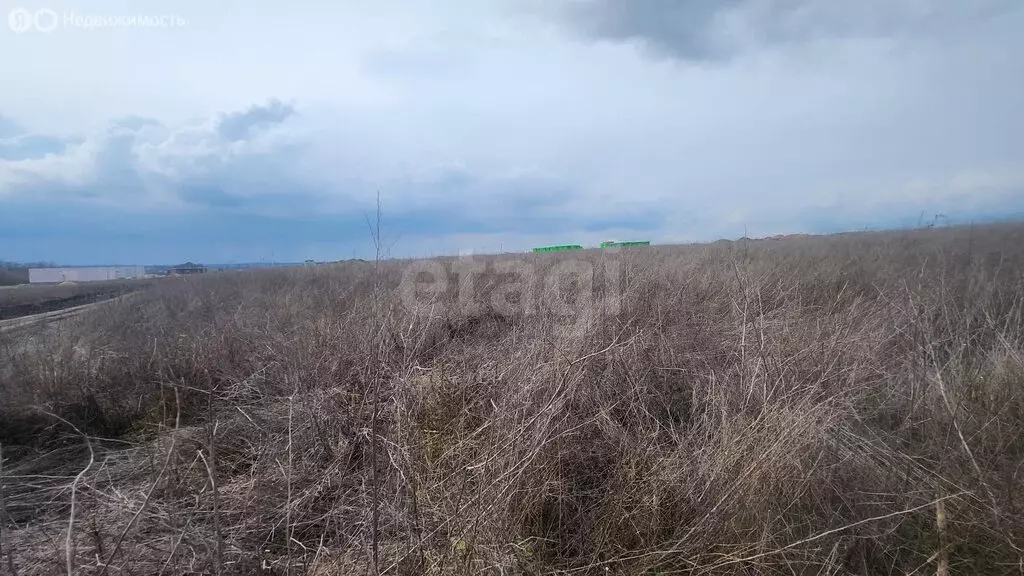 Участок в село Стрелецкое, СНТ Северное-АПК (17 м) - Фото 2