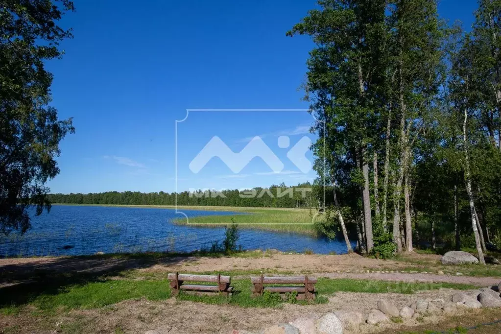Участок в Ленинградская область, Приозерский район, Громовское с/пос, ... - Фото 1