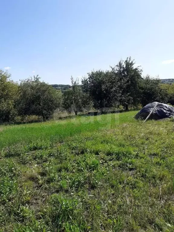 Участок в Белгородская область, Ивнянский район, с. Курасовка  (33.0 ... - Фото 1