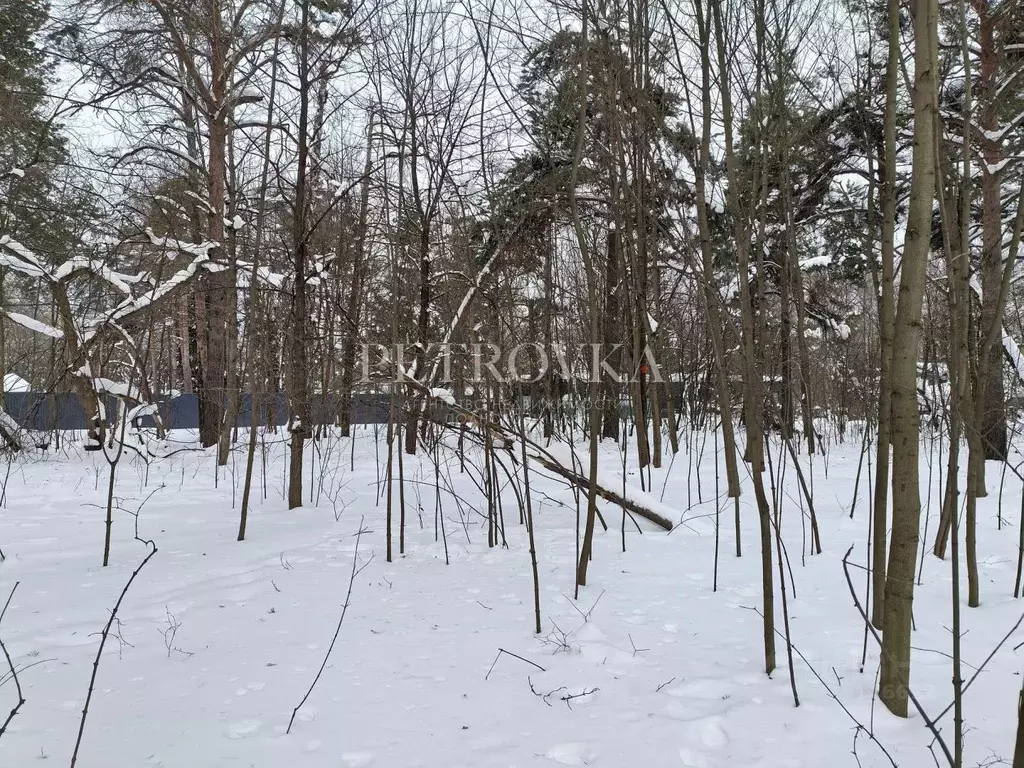 Участок в Москва д. Мешково, ул. Верхняя (9.88 сот.) - Фото 2