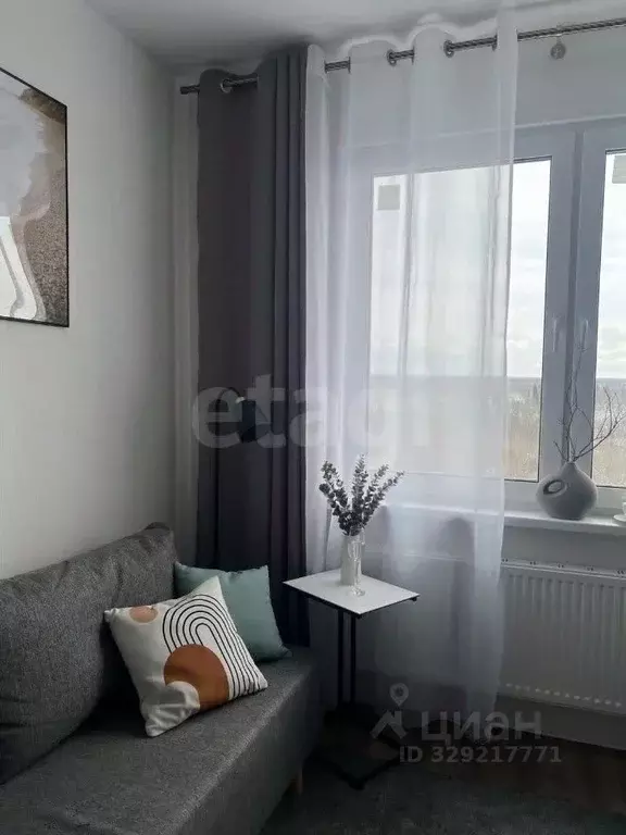 2-к кв. Санкт-Петербург ул. Пейзажная, 24к3 (31.1 м) - Фото 2