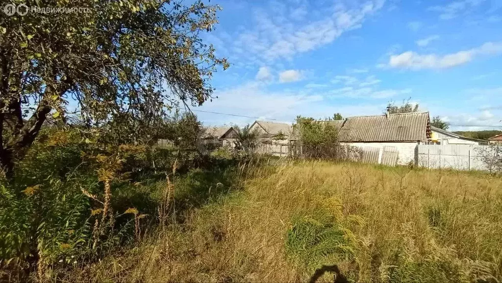 Дом в Брянская область, рабочий посёлок Климово, улица Калинина (37 м) - Фото 2