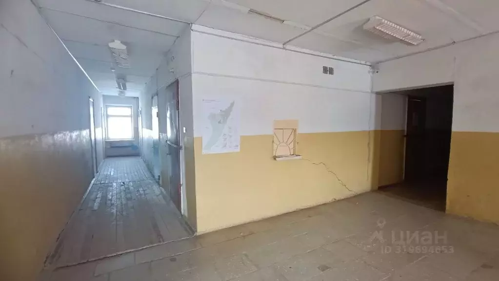 Помещение свободного назначения в Челябинская область, Златоуст ул. ... - Фото 1