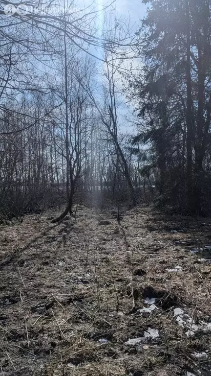 Участок в Новгородская область, Демянский муниципальный округ, деревня ... - Фото 0