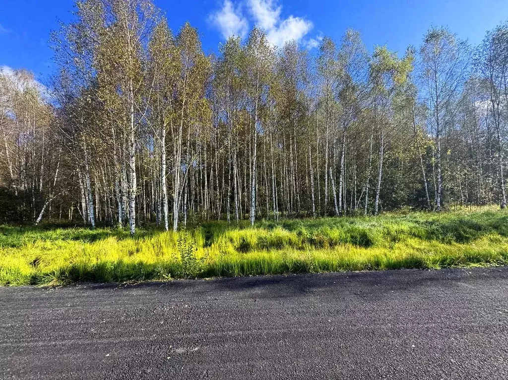 Участок в Московская область, Дмитровский муниципальный округ, ... - Фото 1