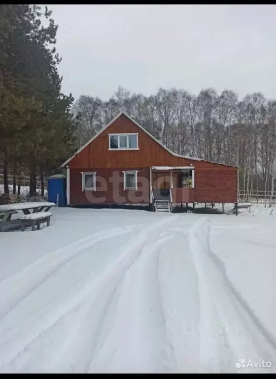 Участок в Новосибирская область, Искитимский район, Совхозный ... - Фото 1