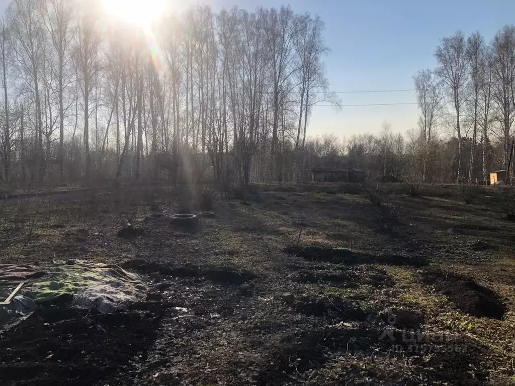 Участок в Новосибирская область, Кольцово рп  (6.0 сот.) - Фото 0