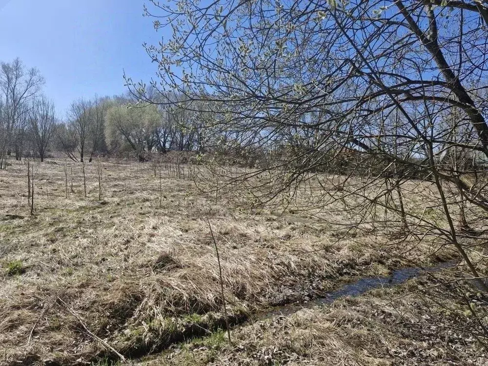 Участок в Московская область, Ступино городской округ, д. Кочкорево  ... - Фото 2