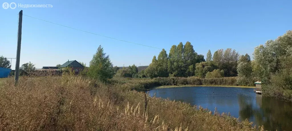 Участок в Пензенский район, Богословский сельсовет, посёлок Ленинский ... - Фото 1