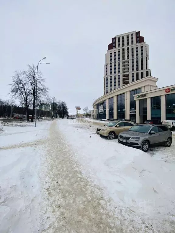 3-к кв. Нижегородская область, Нижний Новгород ул. Владимира ... - Фото 1