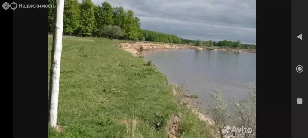 Участок в Нижегородская область, Павловский муниципальный округ, ... - Фото 1