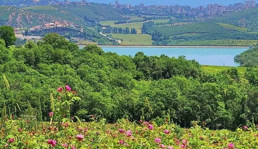 Участок в Крым, Алушта муниципальный округ, пос. Розовый  (8.56 сот.) - Фото 1