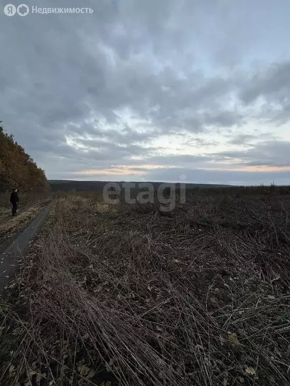 Участок в Республика Мордовия, городской округ Саранск, посёлок ... - Фото 1