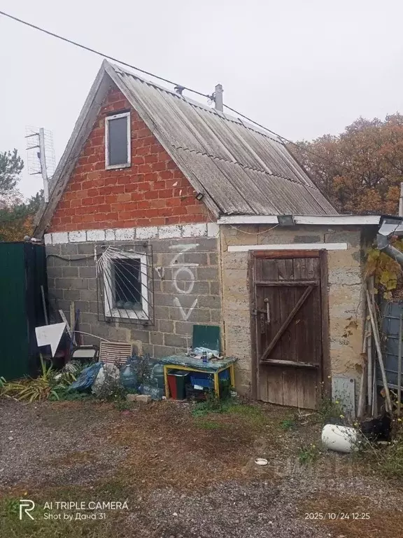 Дом в Белгородская область, Белгородский район, Тавровское с/пос, с. ... - Фото 1