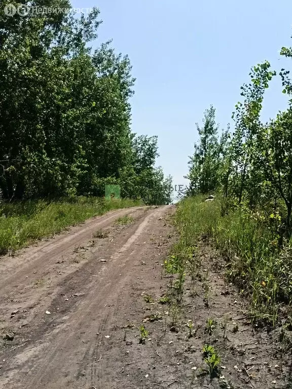 Участок в городской округ Красноярск, посёлок Солонцы (5.93 м) - Фото 1