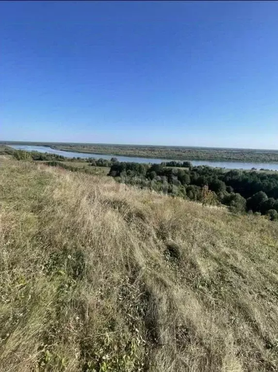Участок в Владимирская область, Меленковский муниципальный округ, с. ... - Фото 0