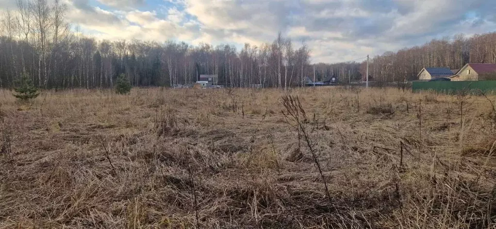 Участок в Московская область, Домодедово городской округ, с. Добрыниха ... - Фото 0