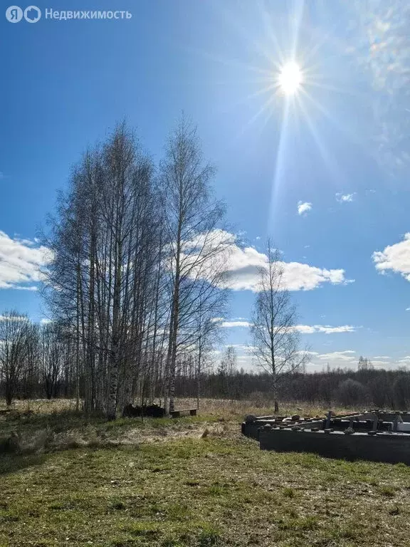 Участок в Вологодская область, Сокольский муниципальный округ, деревня ... - Фото 0