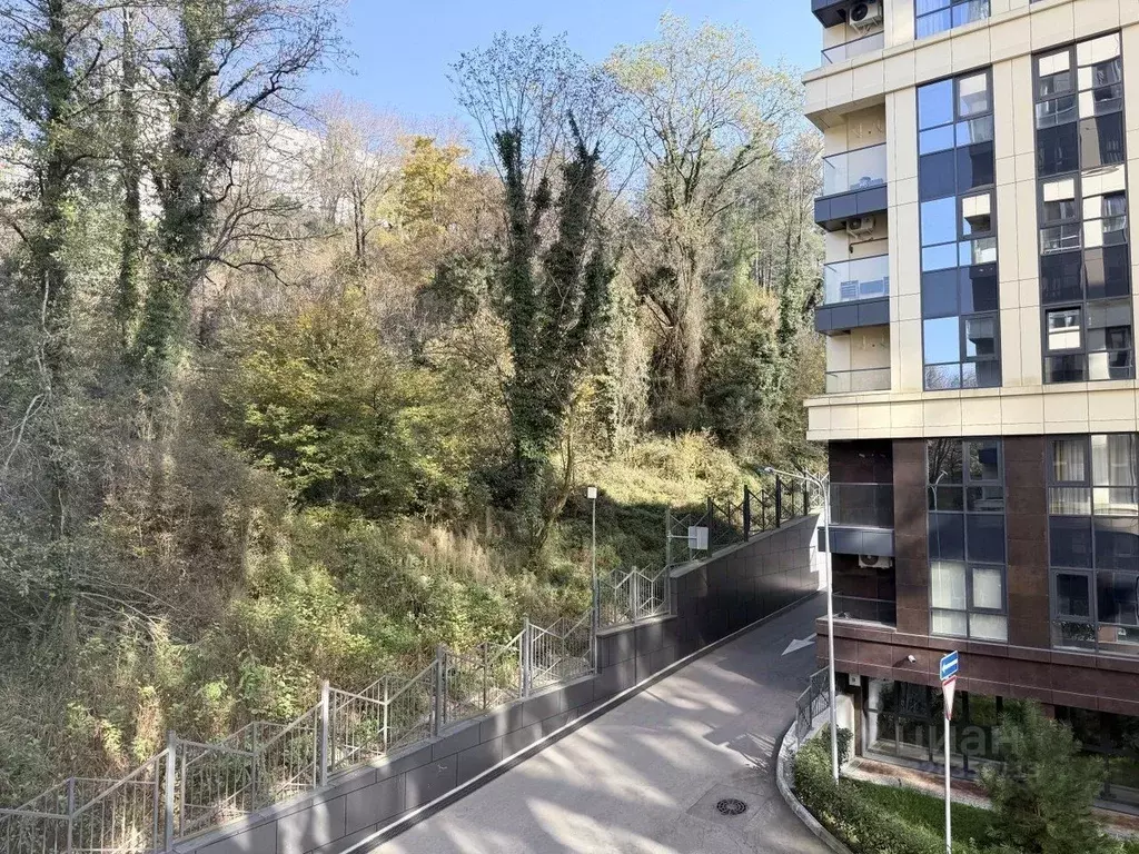 1-к кв. Краснодарский край, Сочи Пластунская ул., 104Бк2 (24.0 м) - Фото 2