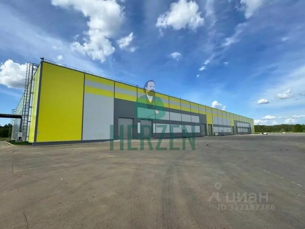 Склад в Московская область, Ногинск Богородский городской округ, ул. ... - Фото 2