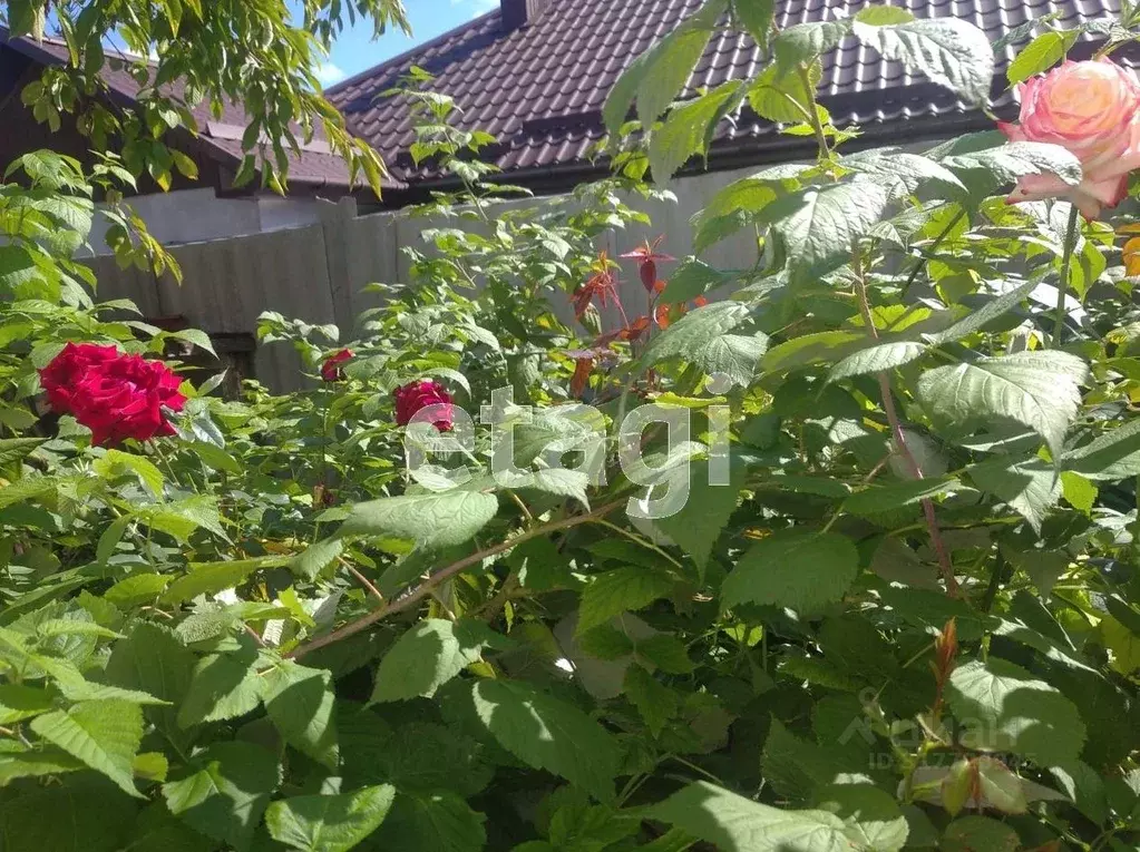 Дом в Крым, Симферополь ул. Радио, 36 (60 м) - Фото 0