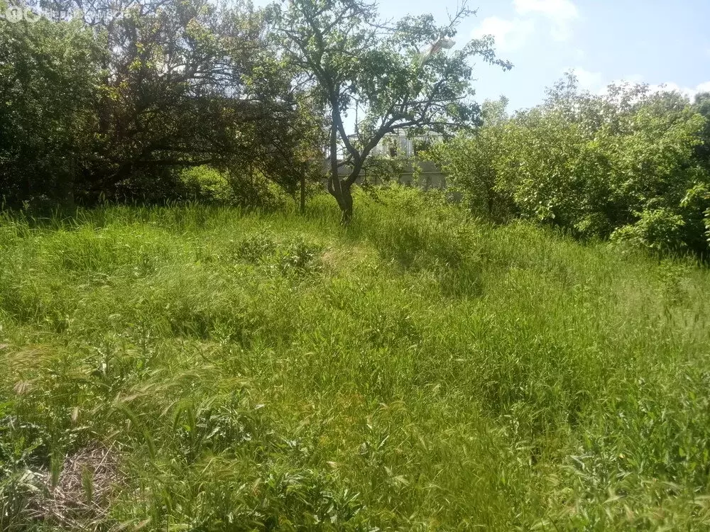 Участок в Супсех, улица Леонова, 2 (10 м) - Фото 2