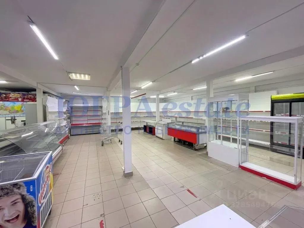 Торговая площадь в Ханты-Мансийский АО, Нижневартовск ул. Ленина, ... - Фото 2