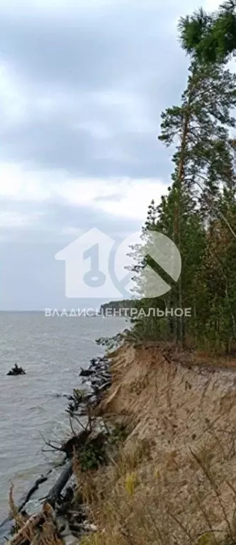 Участок в Новосибирская область, Искитимский район, Быстровский ... - Фото 0