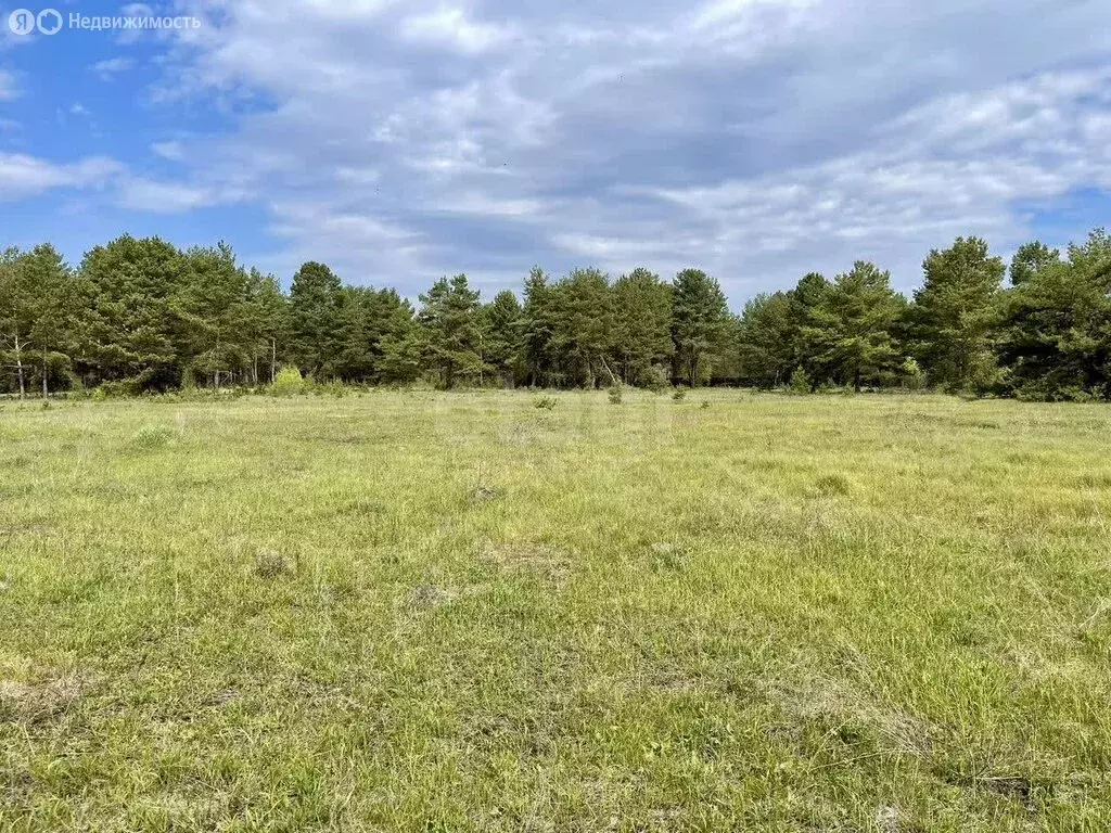 Участок в Калужская область, Дзержинский муниципальный округ, сельское ... - Фото 2