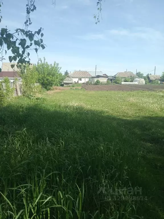 Участок в Алтайский край, Барнаул городской округ, пос. Черницк  (19.0 ... - Фото 2