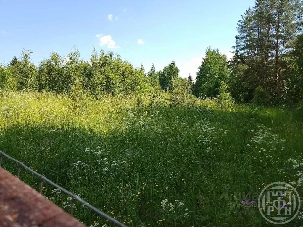 Участок в Ленинградская область, Лужский район, Серебрянское с/пос, д. ... - Фото 1