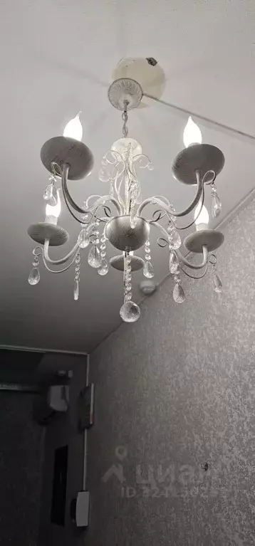 Помещение свободного назначения в Волгоградская область, Волгоград ул. ... - Фото 1