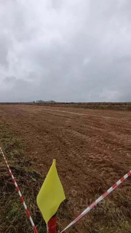 Участок в Москва пос. Рогово, ул. Заречная, 47Б (6.0 сот.) - Фото 1