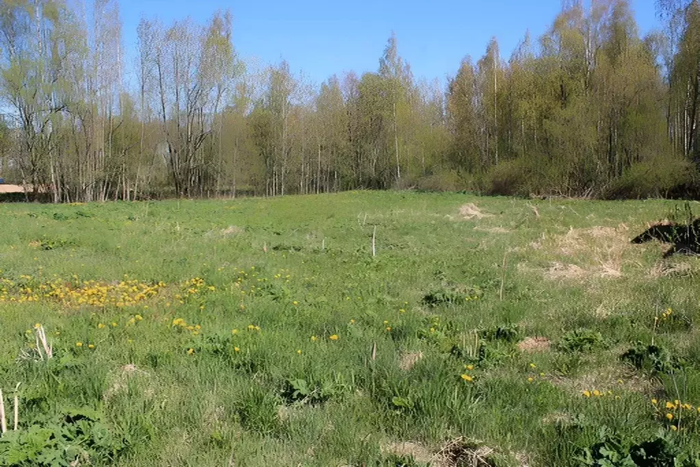 Участок в Ленинградская область, Приозерский район, Мельниковское ... - Фото 2