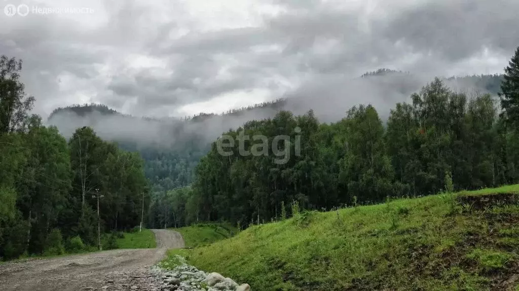 Участок в Усть-Канский район, село Талица (57.8 м) - Фото 1