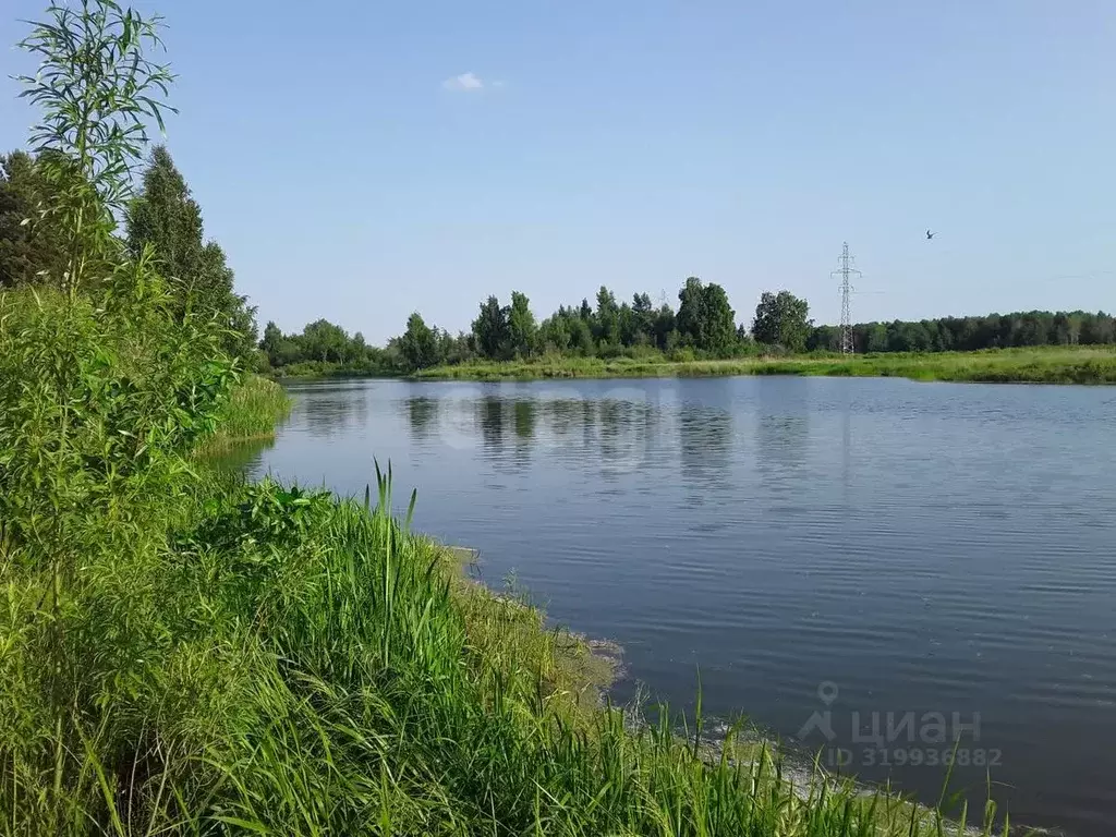 Дом в Тюменская область, Тюмень Березка садовое товарищество, ул. ... - Фото 2