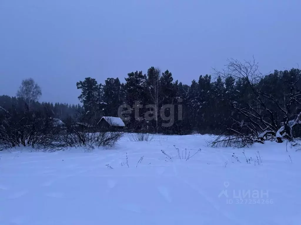 Участок в Курганская область, Кетовский муниципальный округ, пос. ... - Фото 1