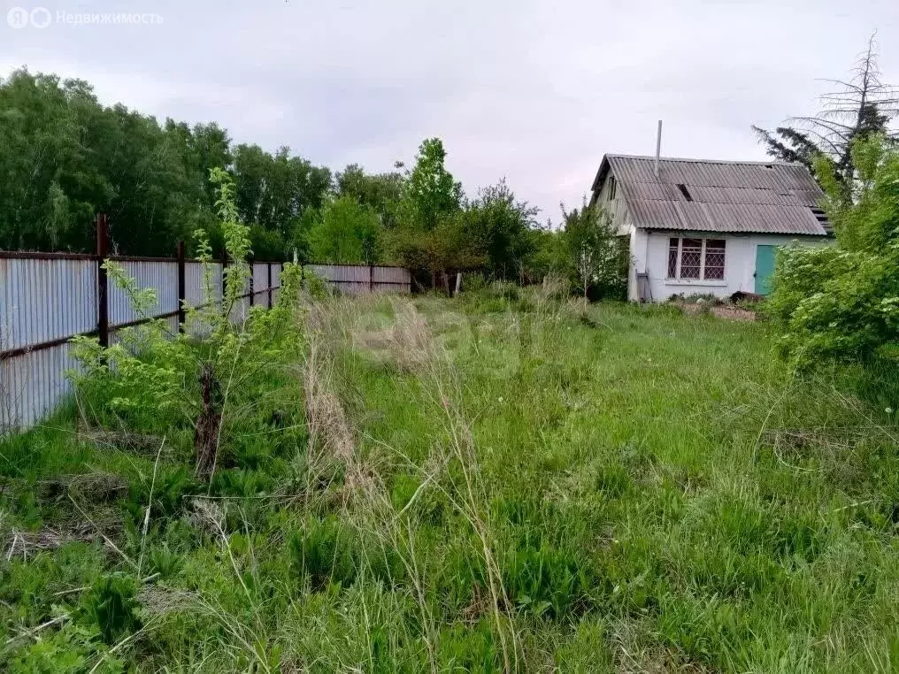 Дом в Омск, территория СОСН Аэрофлот, 12-я аллея (33.2 м) - Фото 2