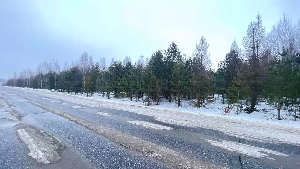 Участок в Татарстан, Высокогорский район, с. Альдермыш ул. Хабибуллина ... - Фото 0