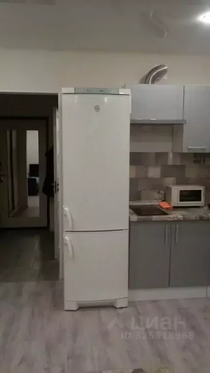 Студия Санкт-Петербург пос. Шушары, ул. Валдайская, 6к2 (25.3 м) - Фото 2