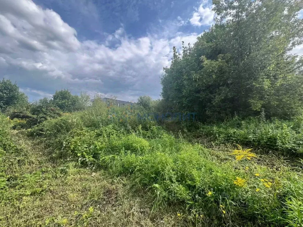 Участок в Нижегородская область, Нижний Новгород с. Федяково,  (11.0 ... - Фото 2