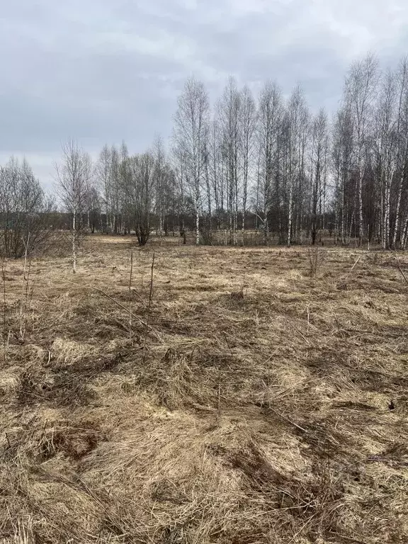 Участок в Московская область, Шаховская муниципальный округ, д. ... - Фото 1
