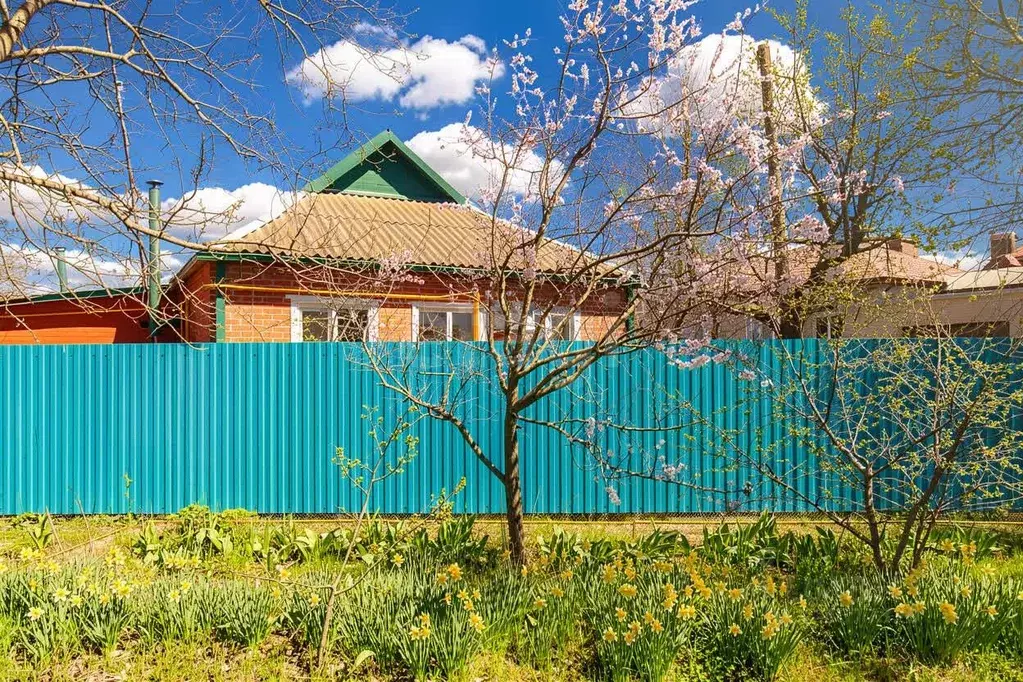 Дом в Краснодарский край, Славянск-на-Кубани ул. Лермонтова, 339 (56 ... - Фото 1