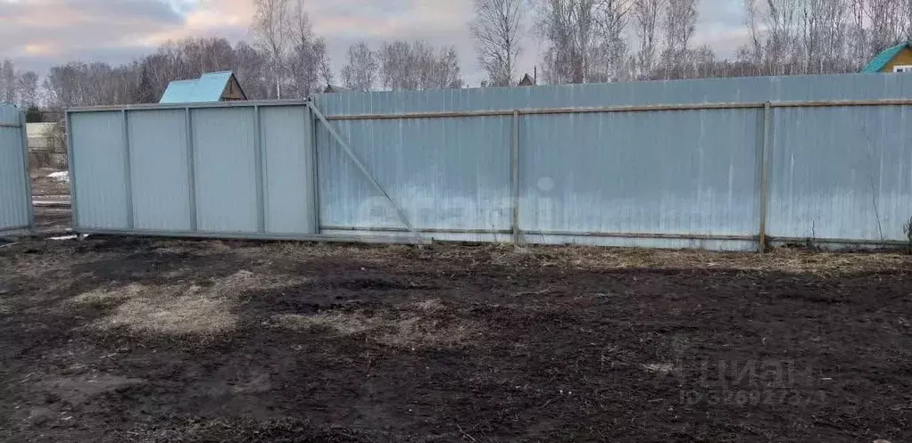 Участок в Новосибирская область, Новосибирский район, Березовский ... - Фото 1