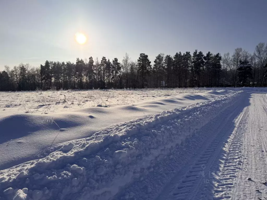 Участок в Московская область, Серпухов городской округ, д. Дернополье  ... - Фото 2