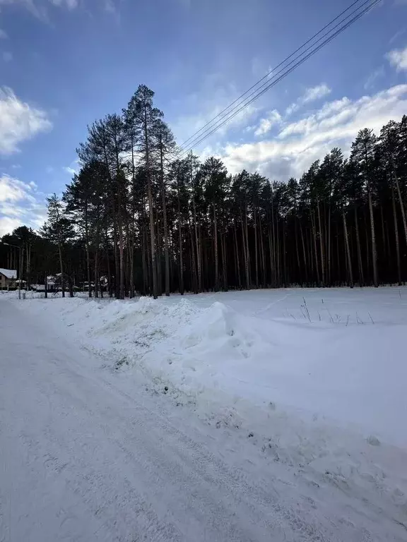 Участок в Свердловская область, Сысерть ул. Березовая, 26 (16.0 сот.) - Фото 1