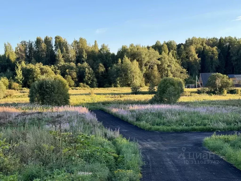 Участок в Московская область, Дмитровский городской округ, Форест Клаб ... - Фото 1